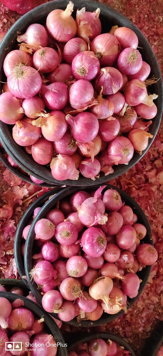 Quality Certification